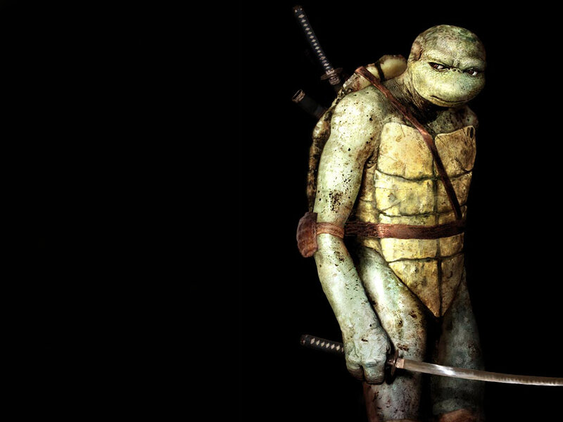 Turtle warrior with swords