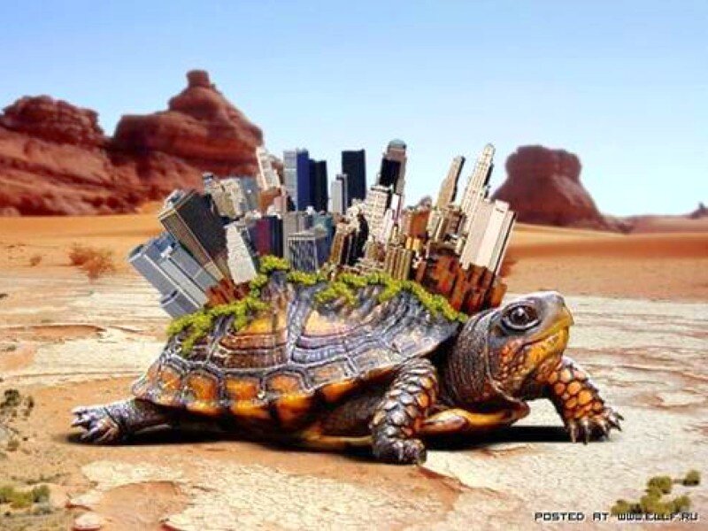 turtle with city on its back
