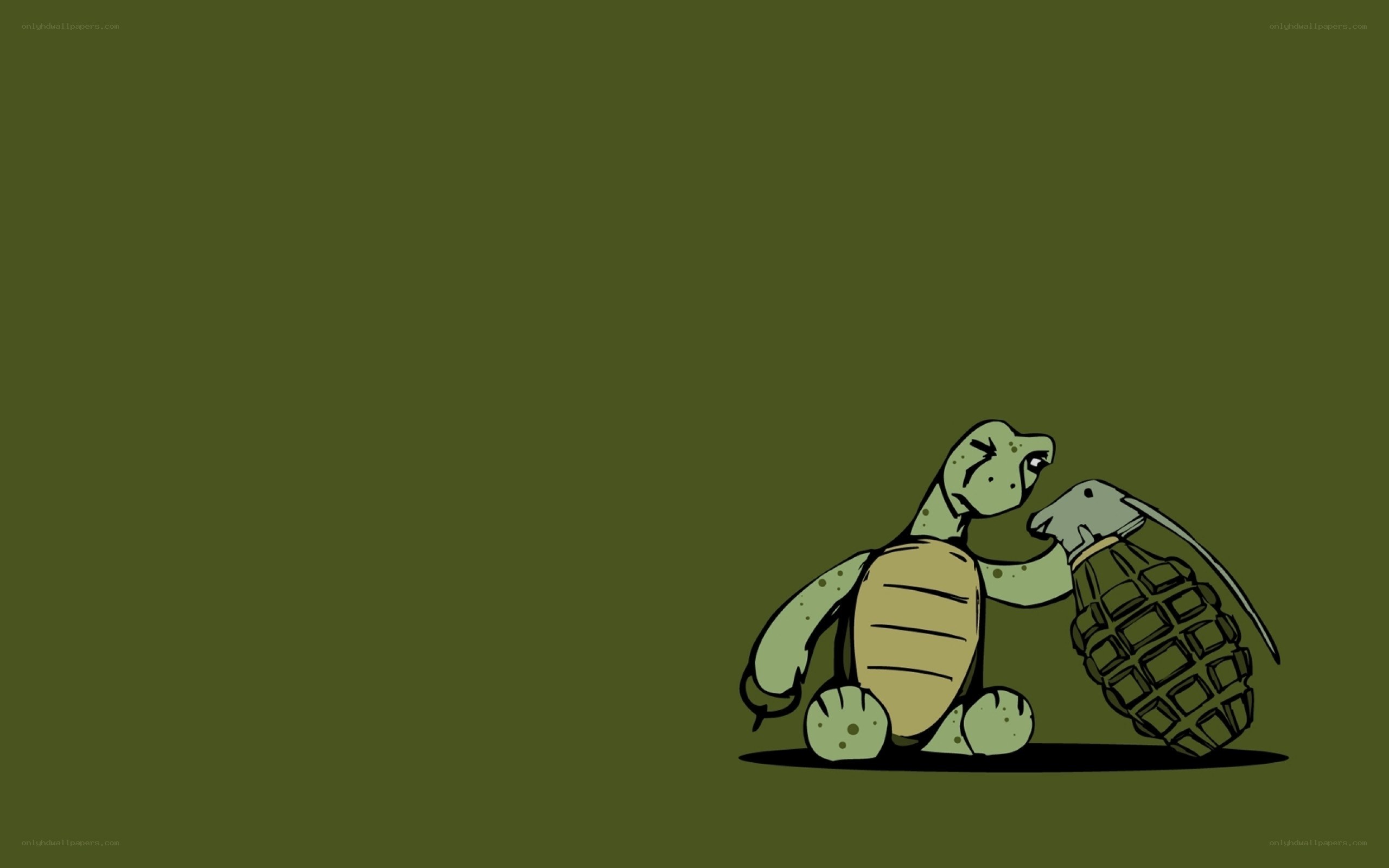turtle with grenade