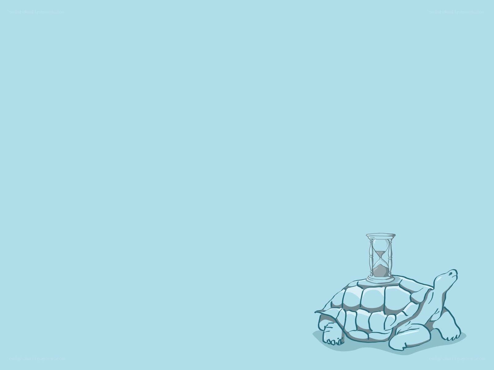 turtle with hourglass