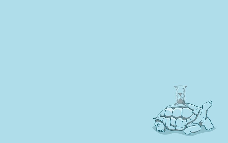 turtle with hourglass