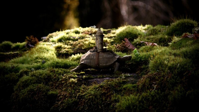 Turtle with Miniature Castle