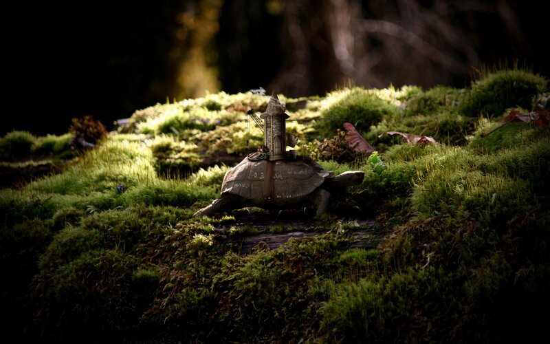 Turtle with miniature house