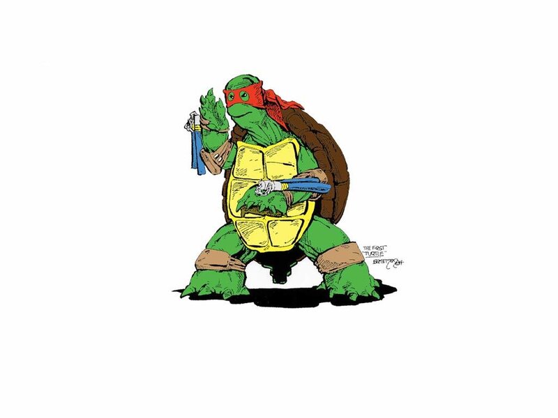 Turtle with Nunchucks — Green
