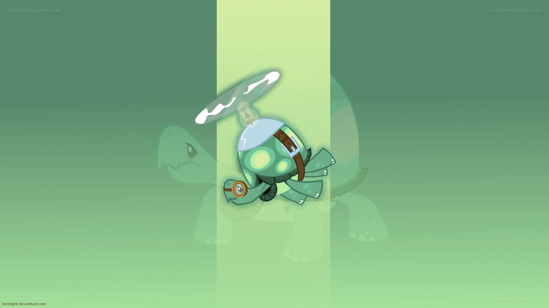 turtle with propeller helmet