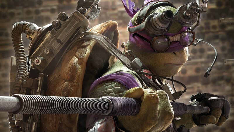 Turtle with Purple Bandana