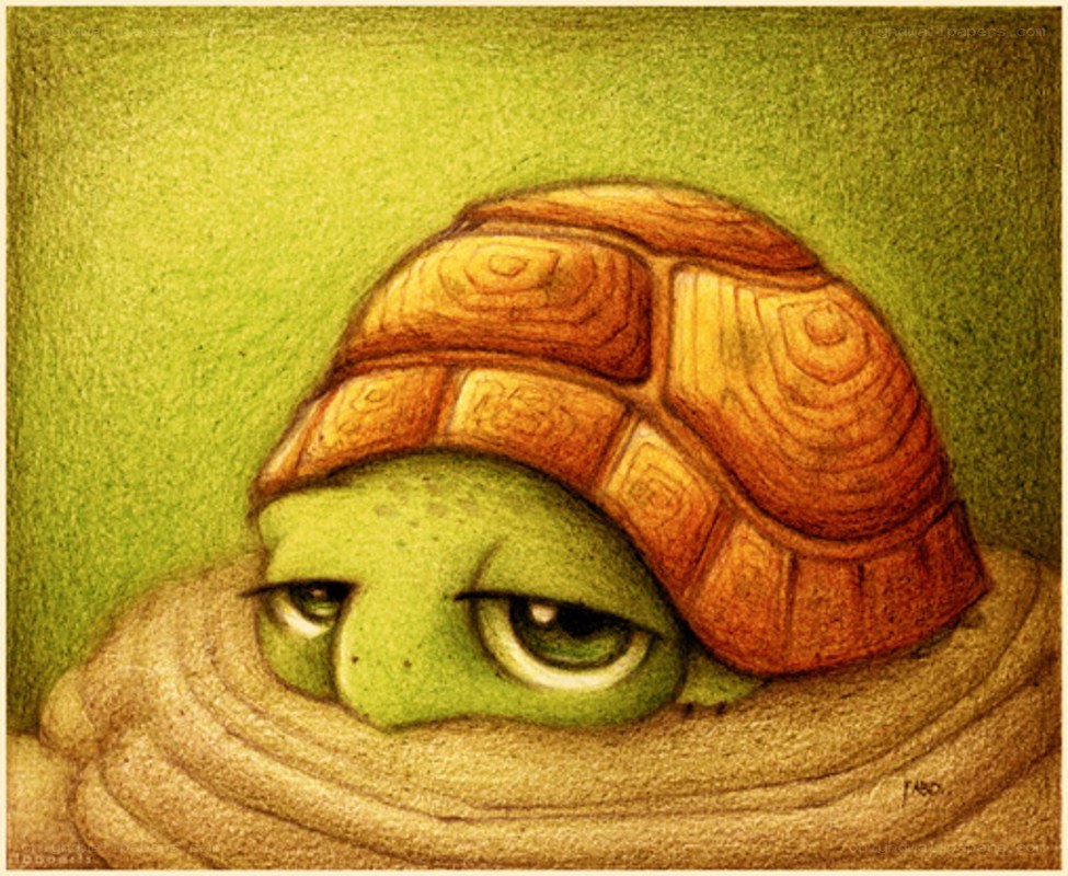 turtle with sad eyes