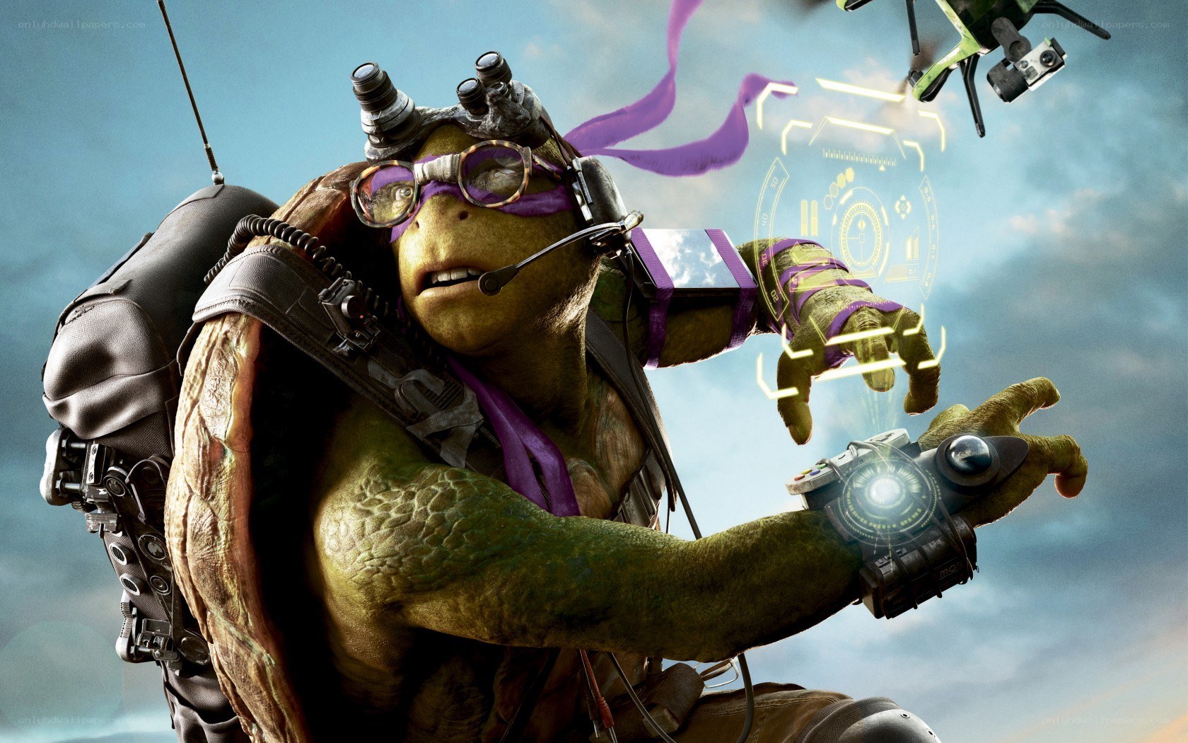 turtle with tech gear