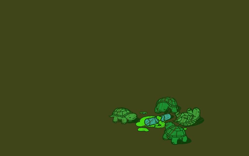turtles and a broken bottle