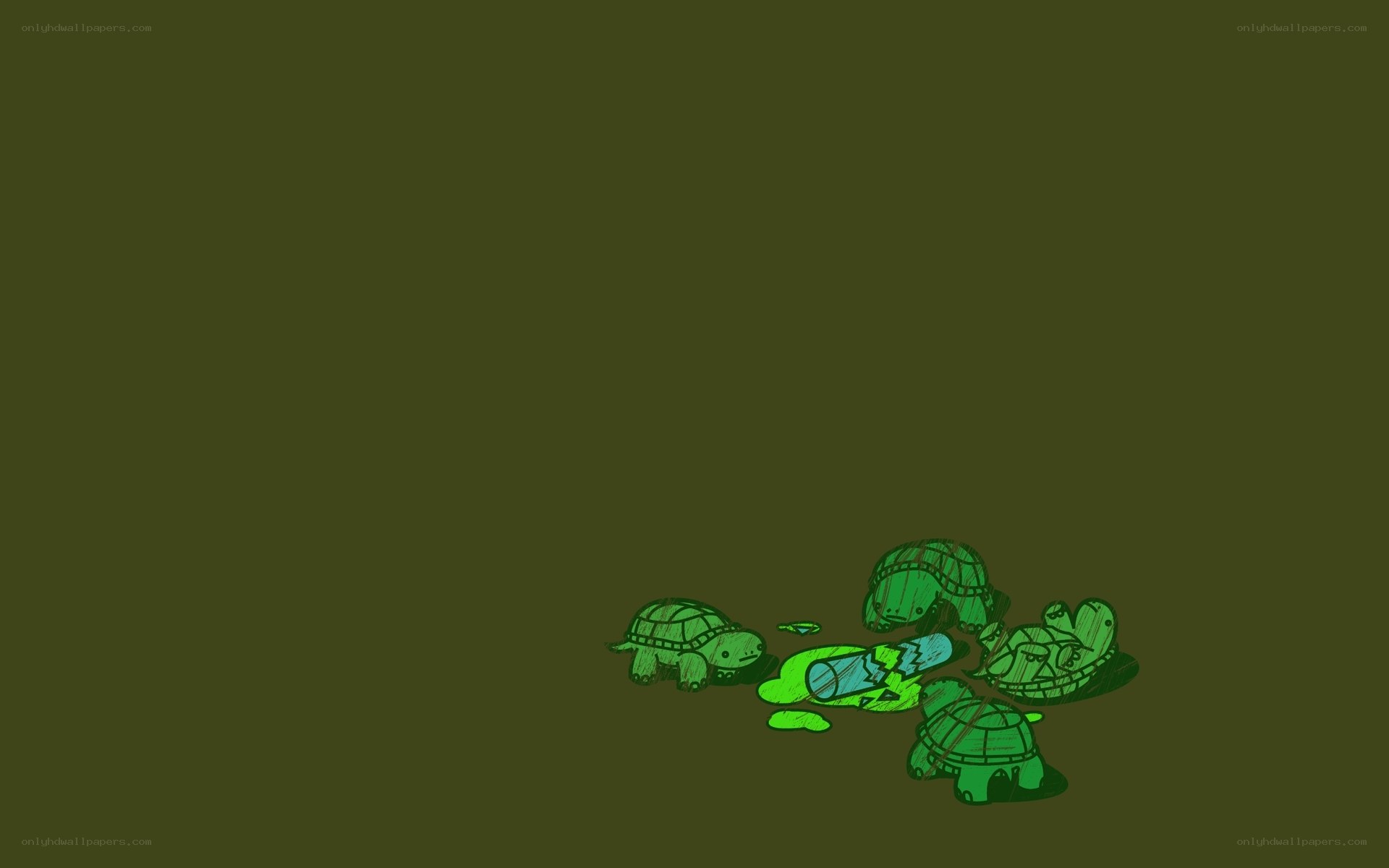 turtles and a broken bottle