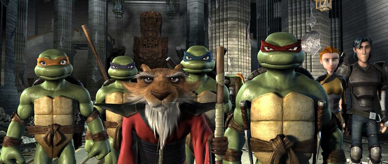 Turtles and a Cat
