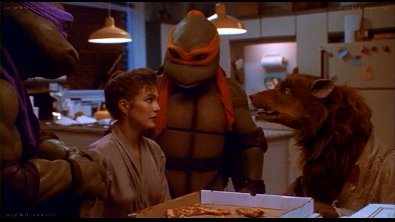 Turtles and a woman in kitchen