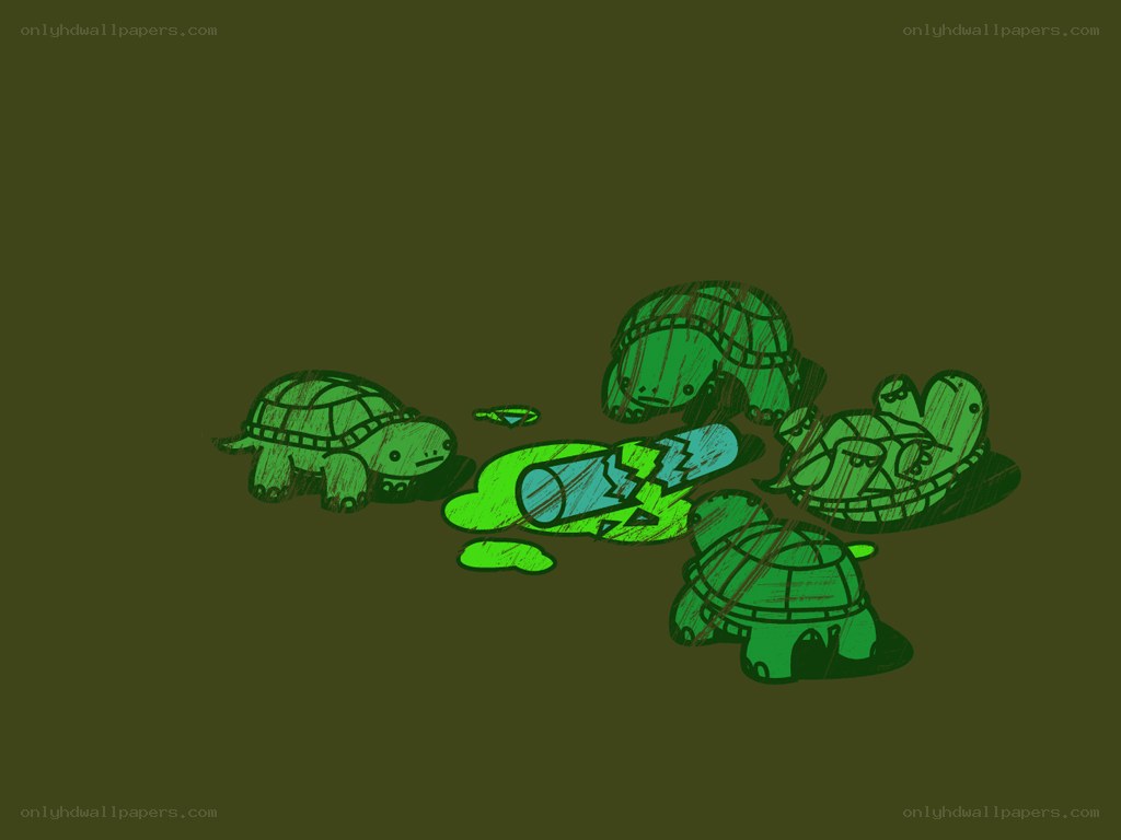 turtles and broken bottle