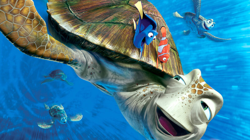 Turtles and Fish in Ocean