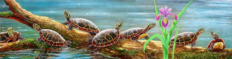 Turtles basking on a log