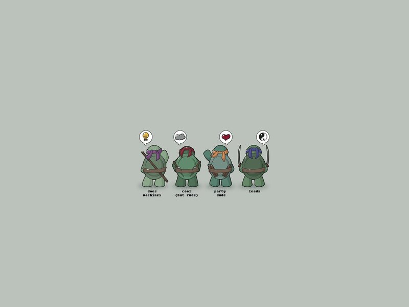 Turtles character traits
