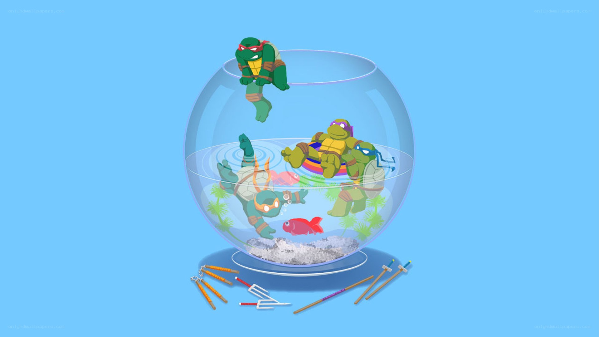 Turtles in a fishbowl