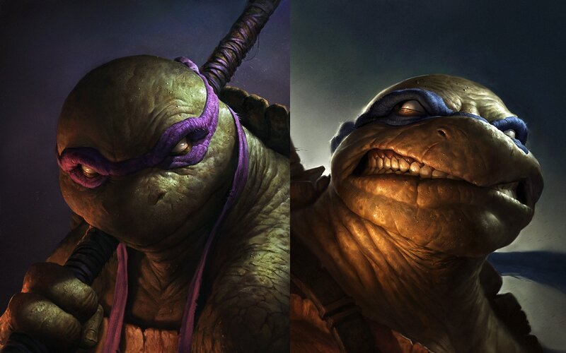 Turtles in a split portrait