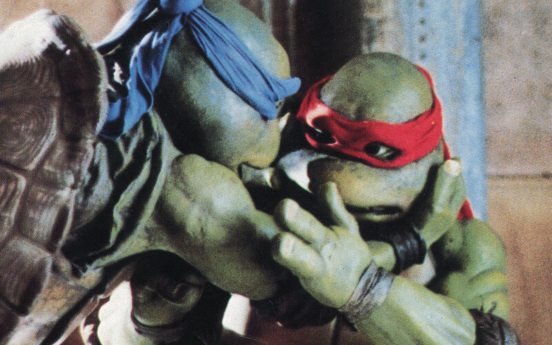 Turtles in combat