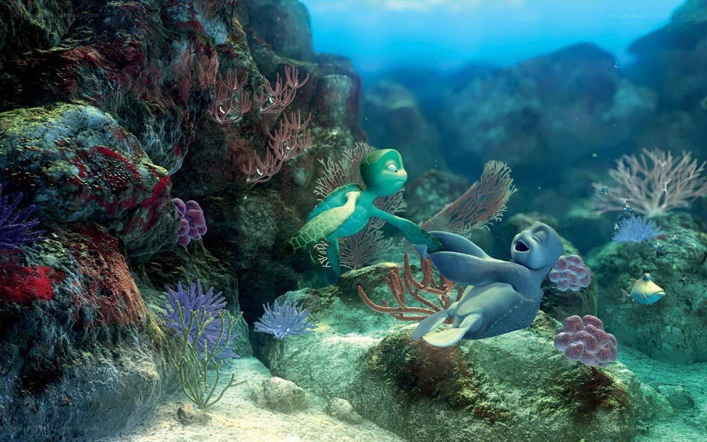 turtles in coral reef