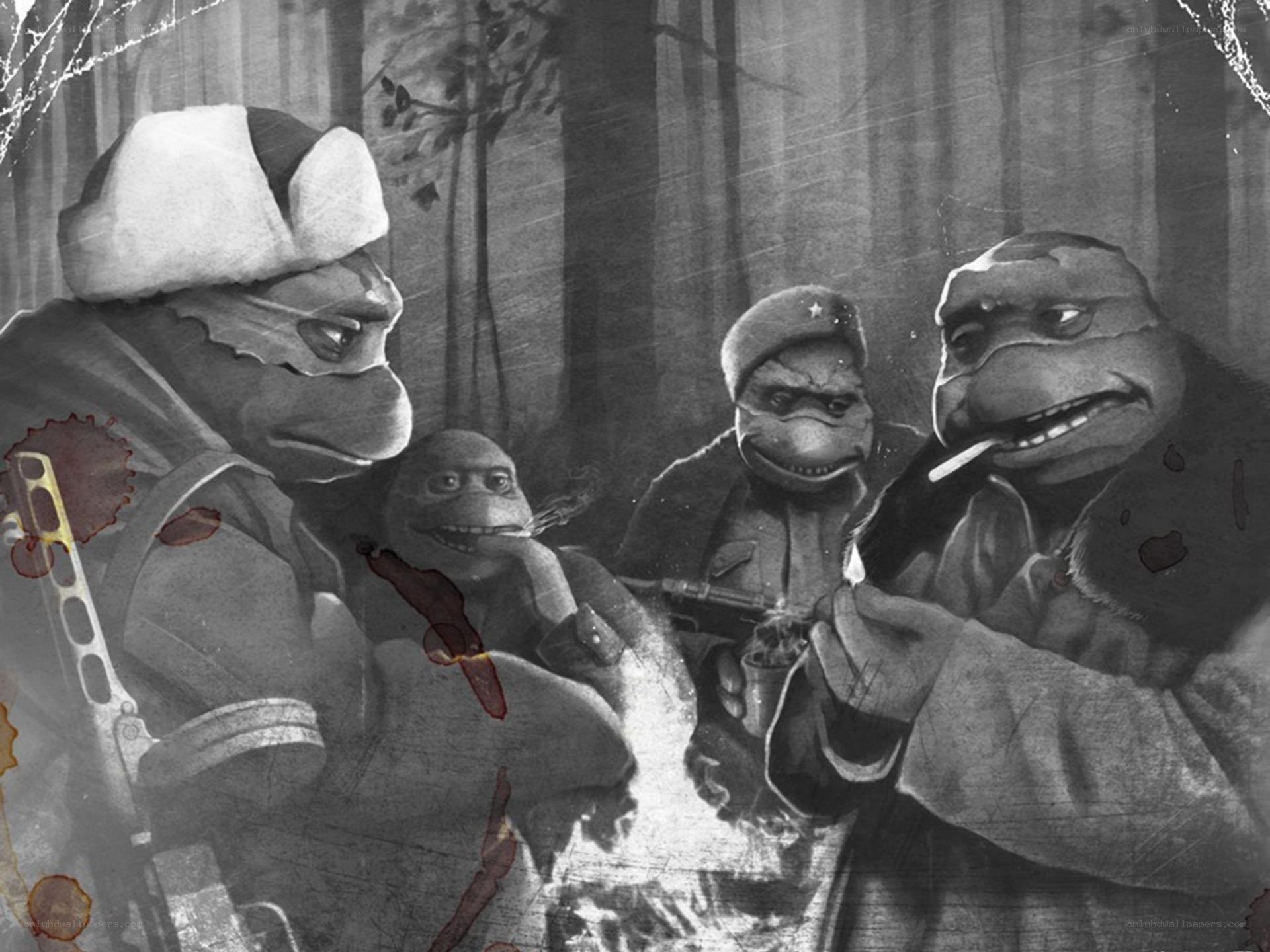 Turtles in military gear