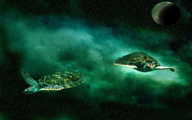 turtles in space