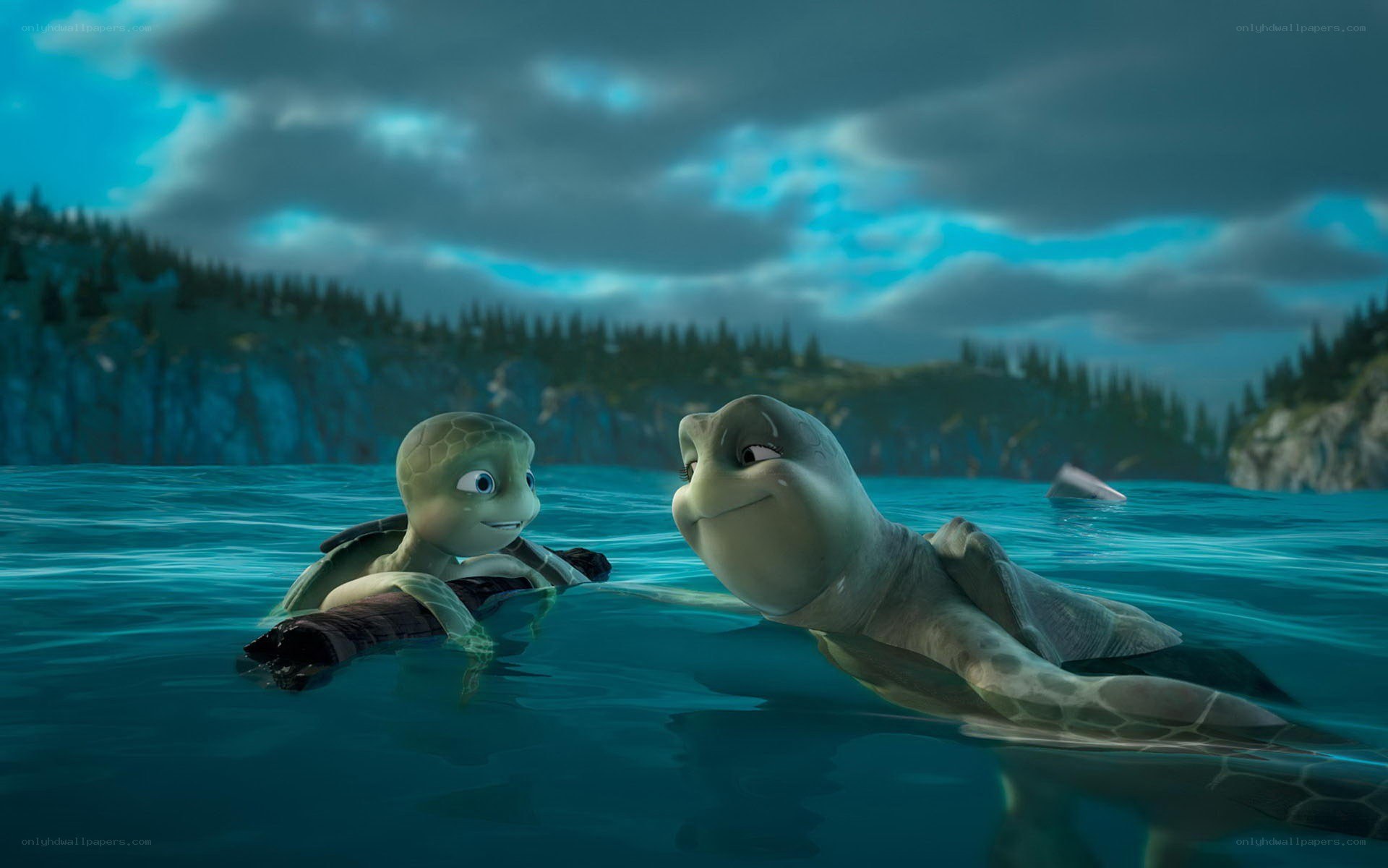 turtles in the ocean