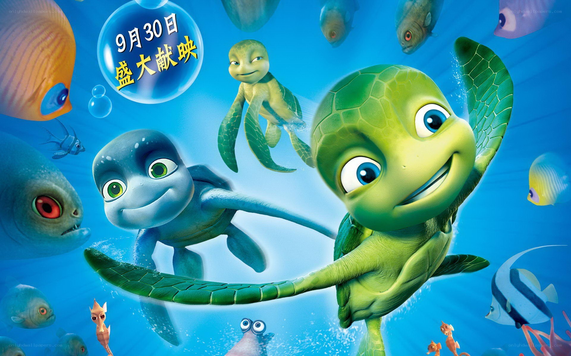 turtles in the sea