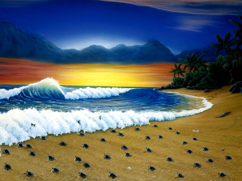 Turtles on Beach