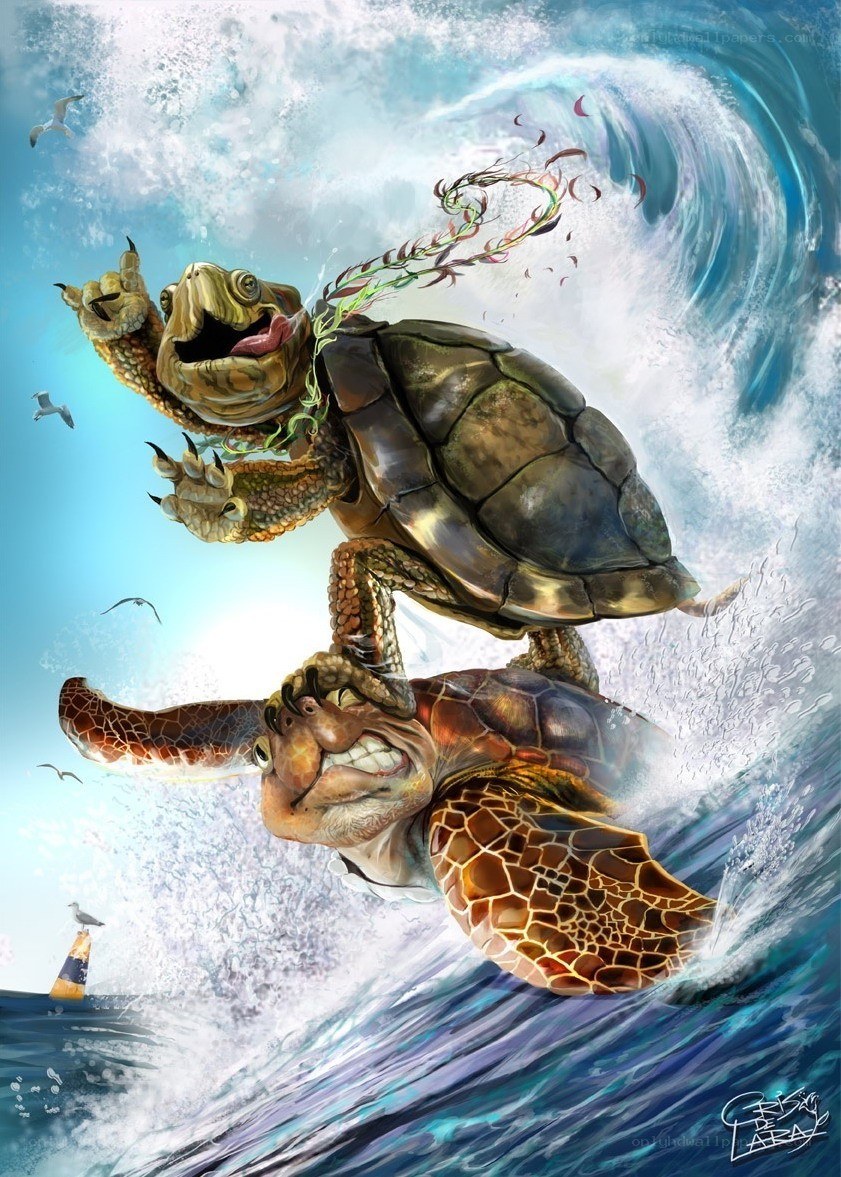 Turtles surfing a wave
