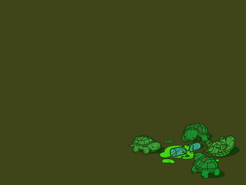 turtles with broken bottle