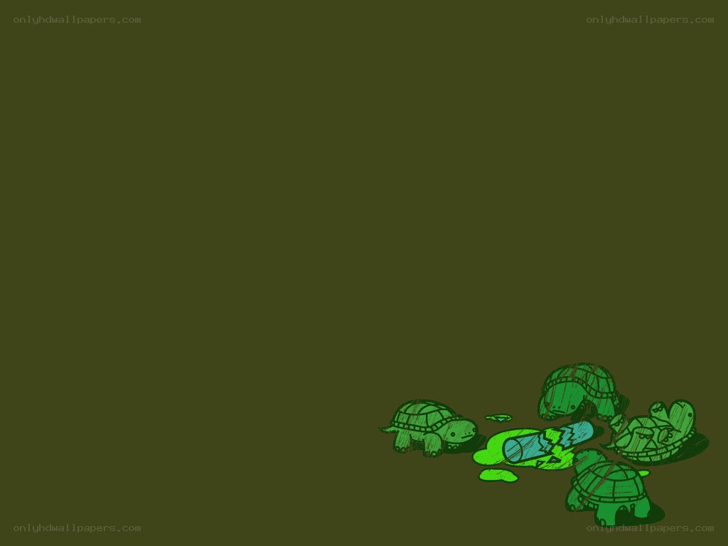 turtles with broken bottle