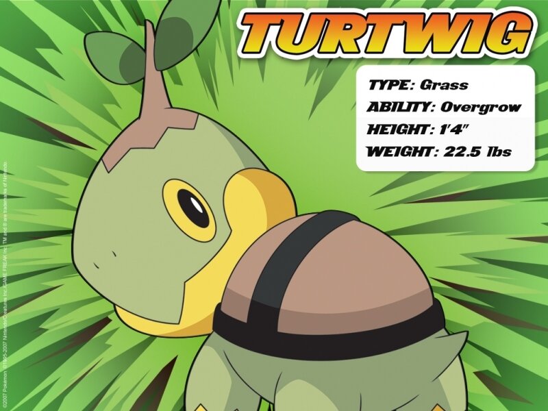 Turtwig Pokemon profile
