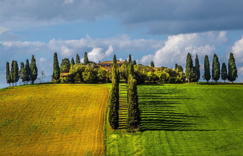 Tuscan Countryside — Green, Serene, Afternoon, Photograph, Cypress Trees