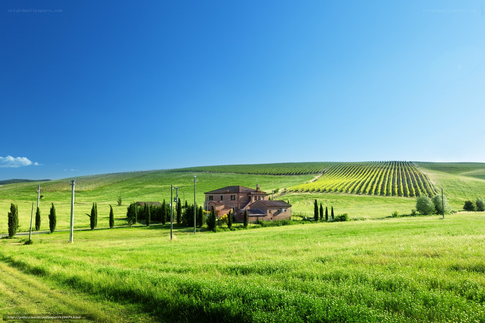 Tuscan countryside landscape