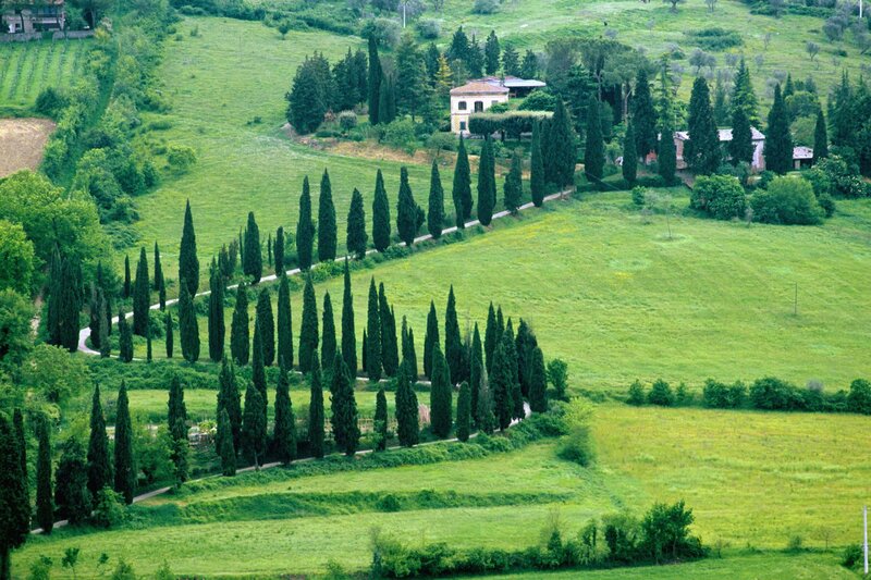 Tuscan countryside with cypress trees