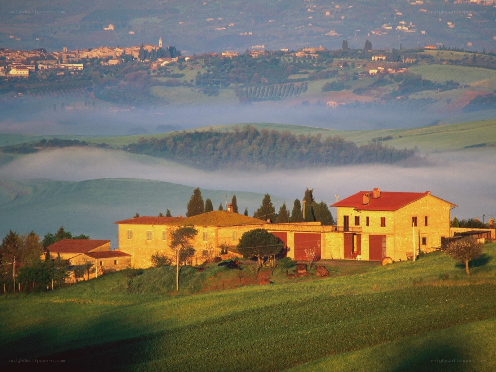Tuscan farm at dawn