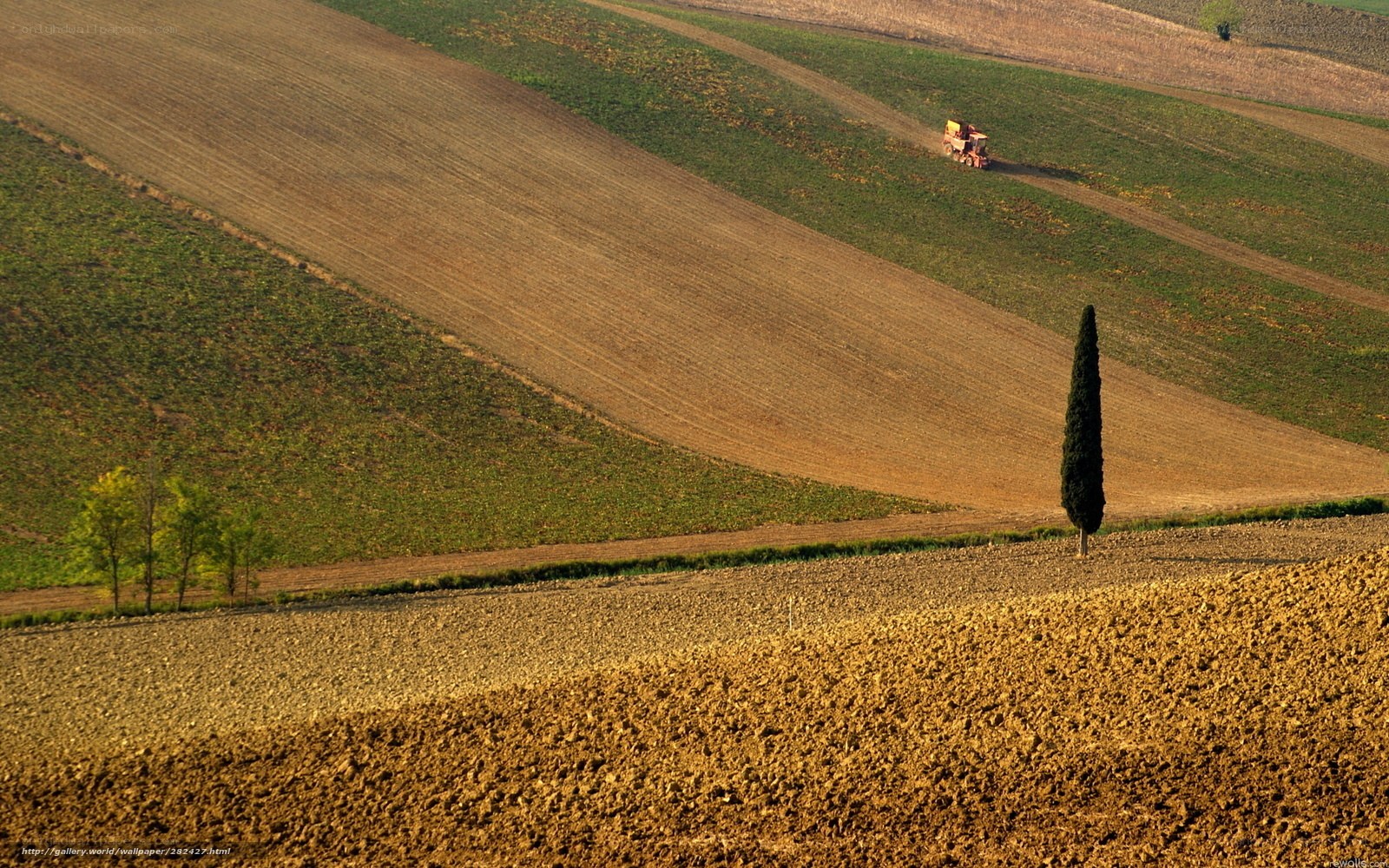 Tuscan farmland with tractor