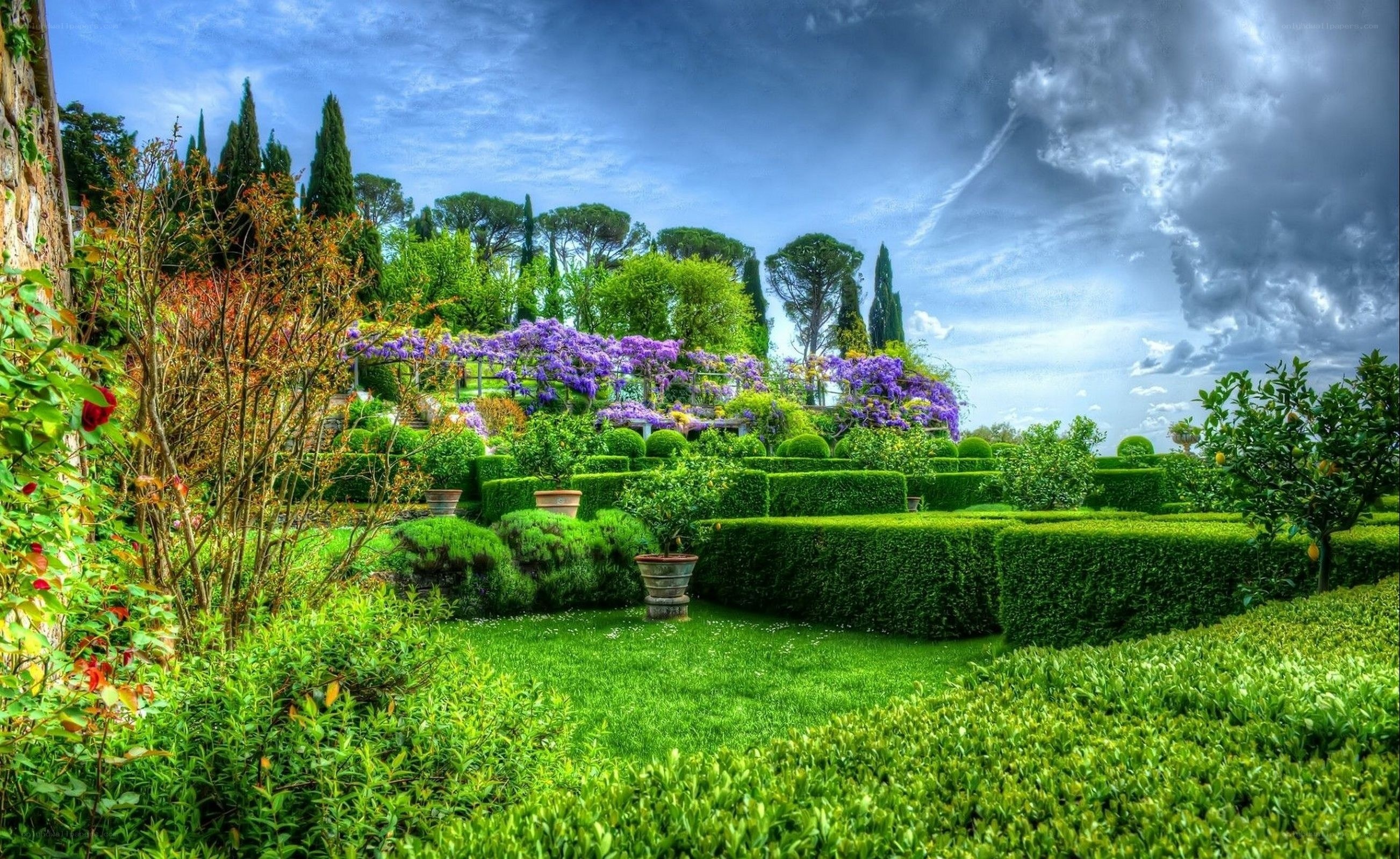Tuscan garden with purple flowers