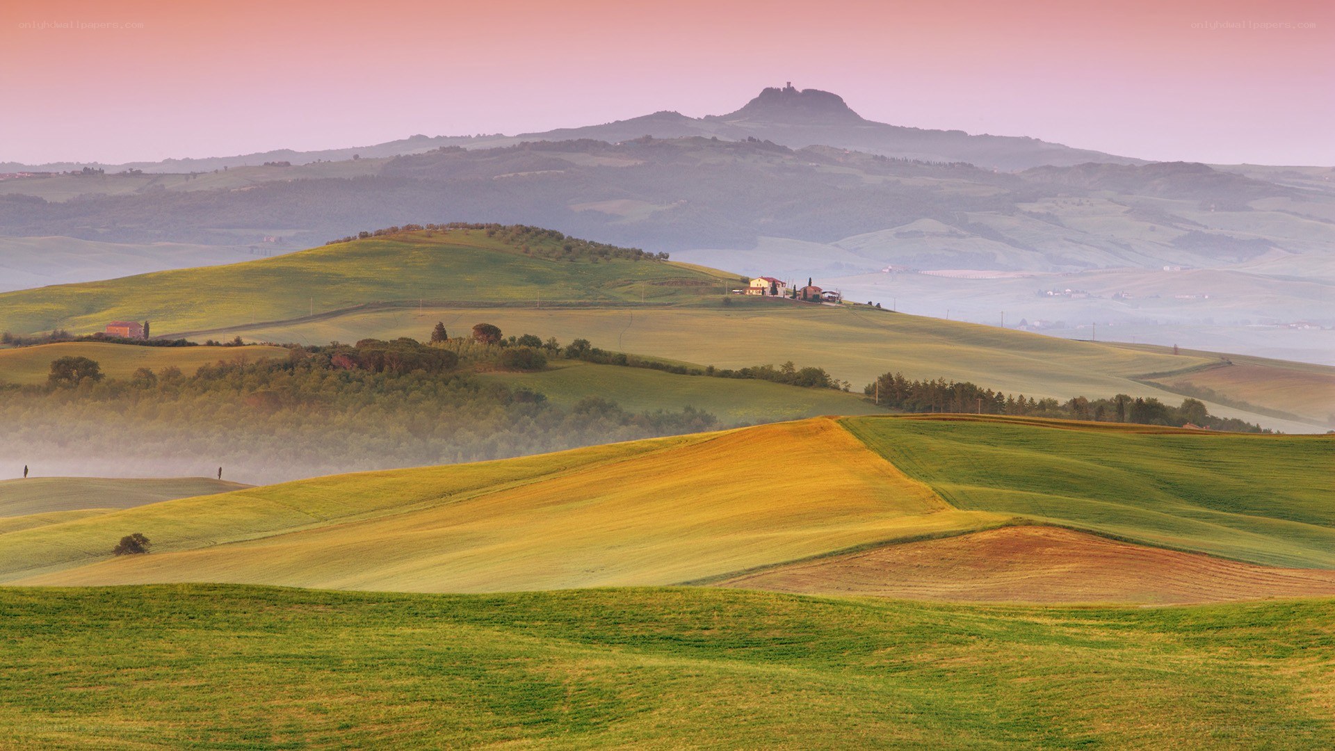 Tuscan hills at dawn