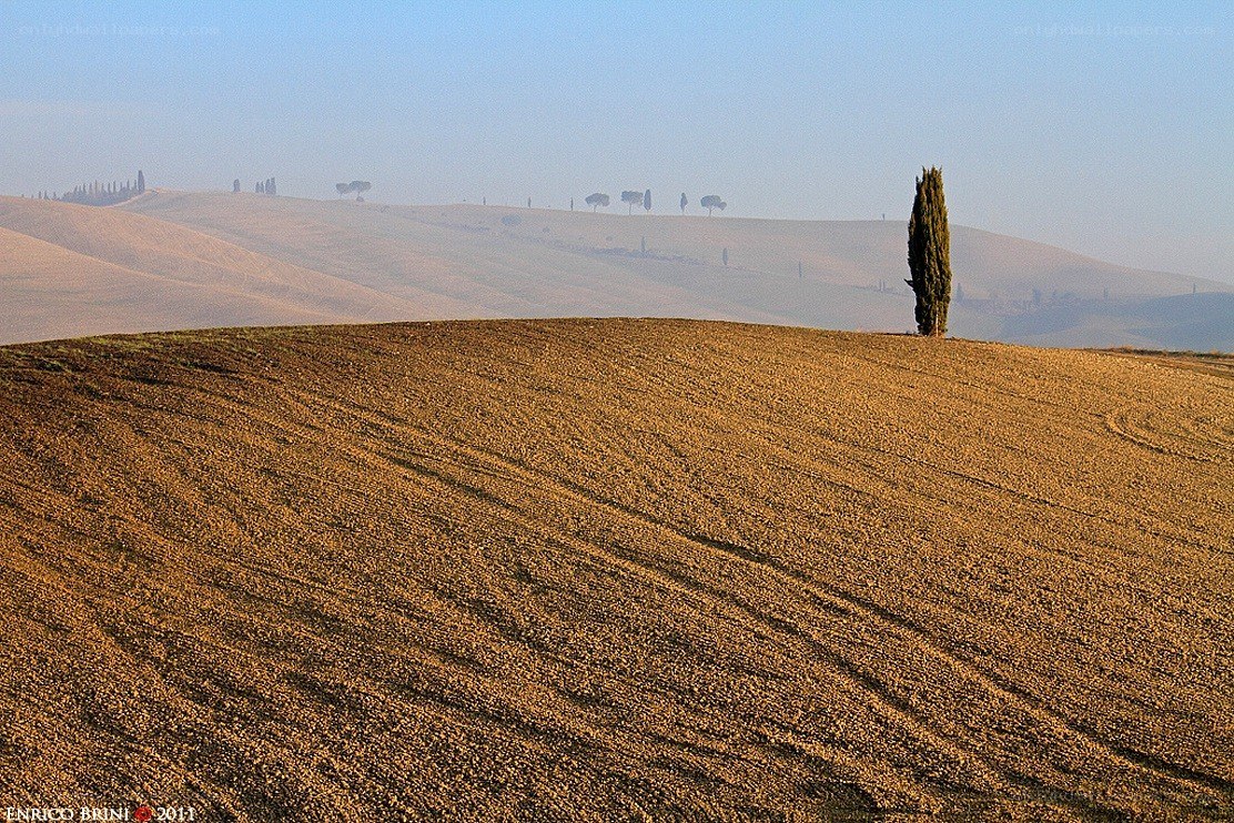 Tuscan hills at dawn