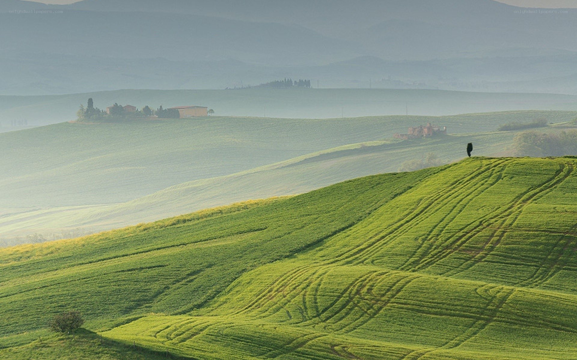 Tuscan hills at dawn