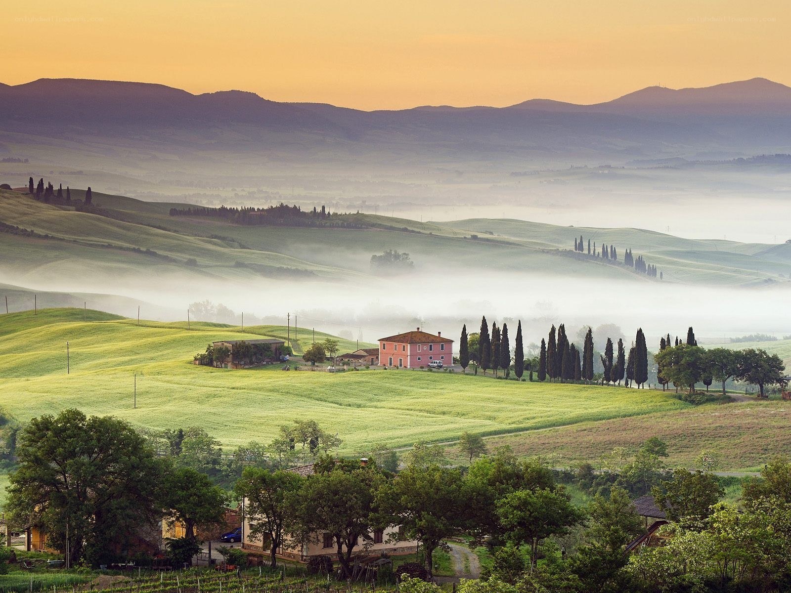 Tuscan hills at dawn