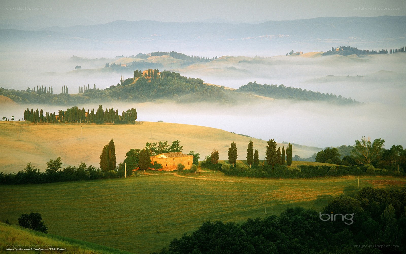 Tuscan hills at dawn