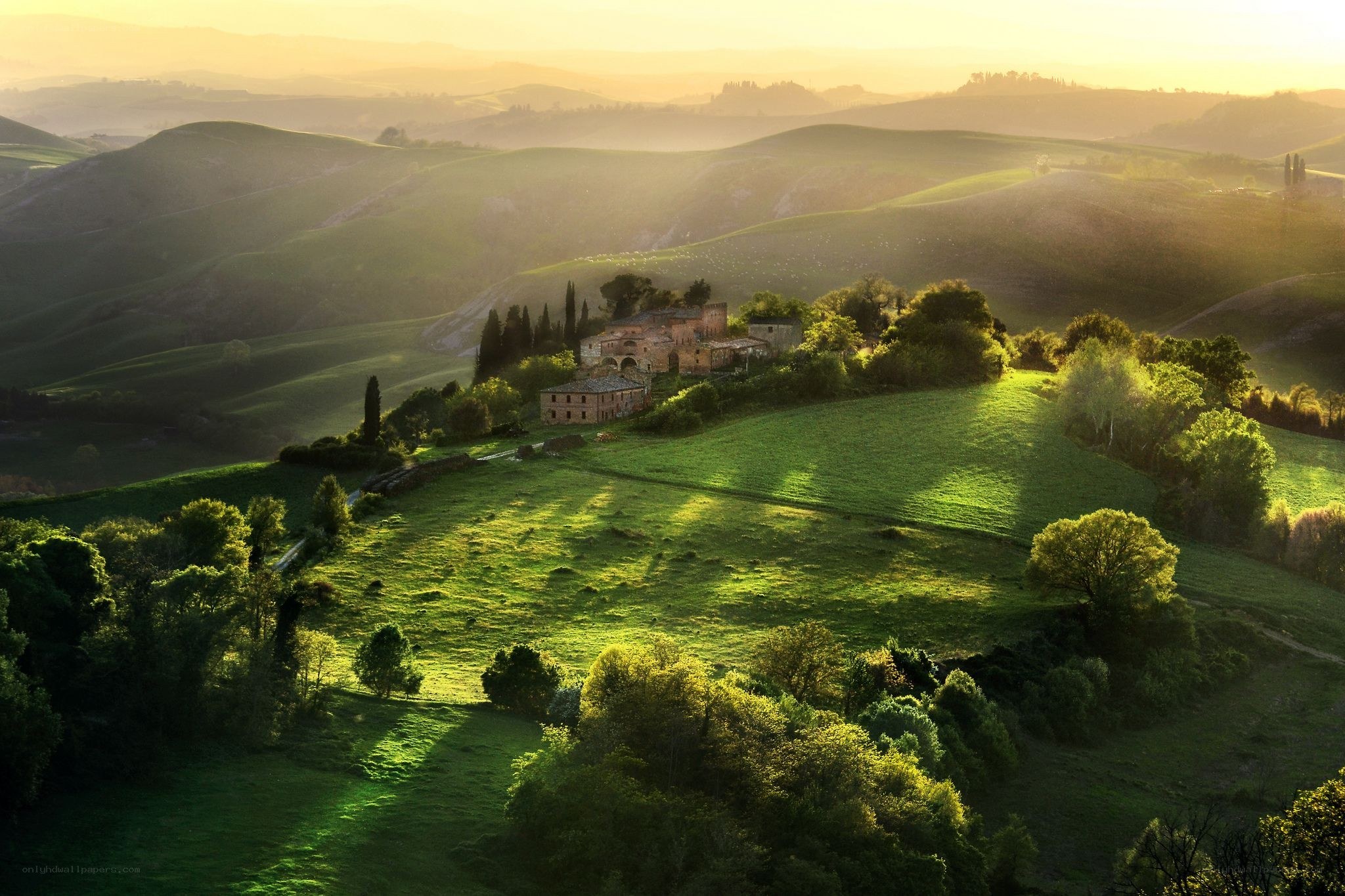 Tuscan hills at sunrise