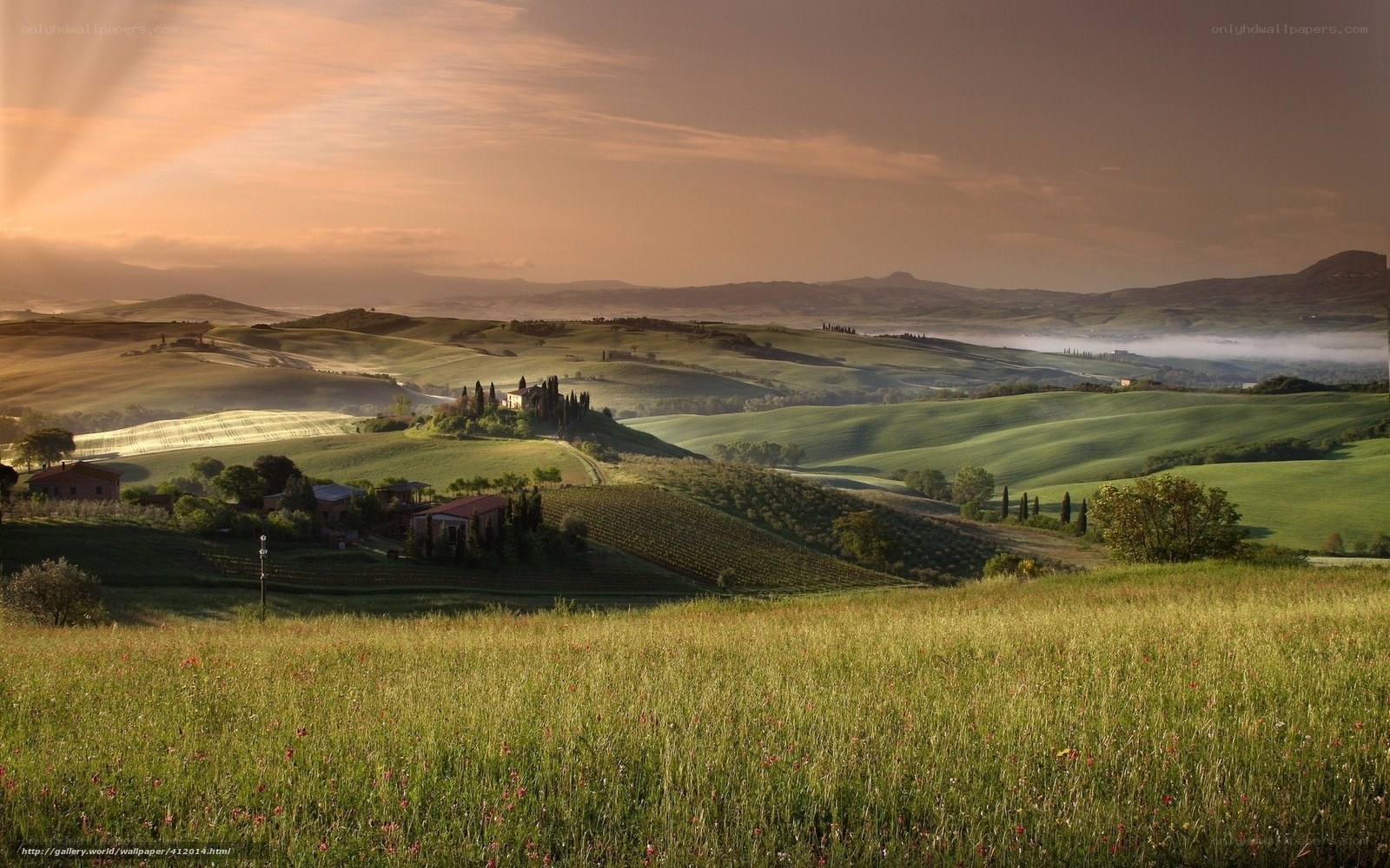 Tuscan hills at sunrise