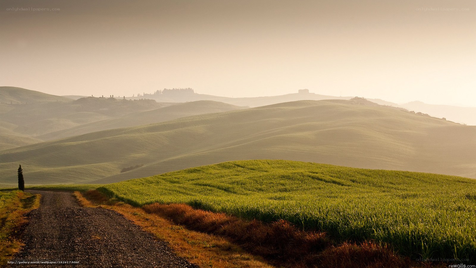 Tuscan hills at sunrise