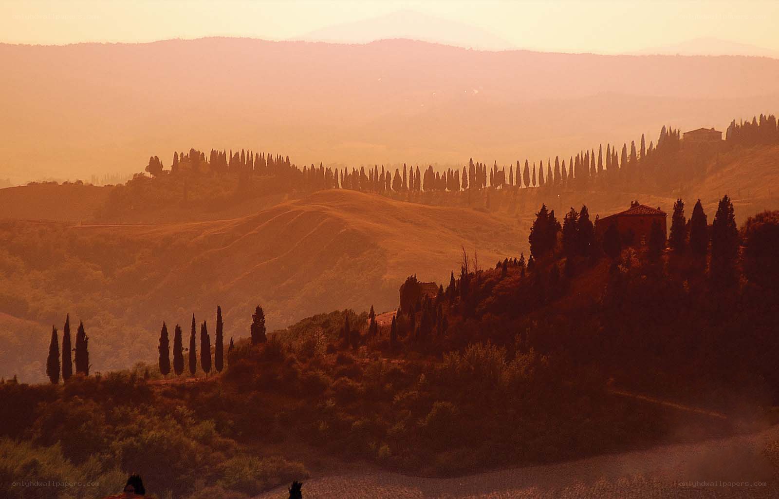 Tuscan hills at sunset
