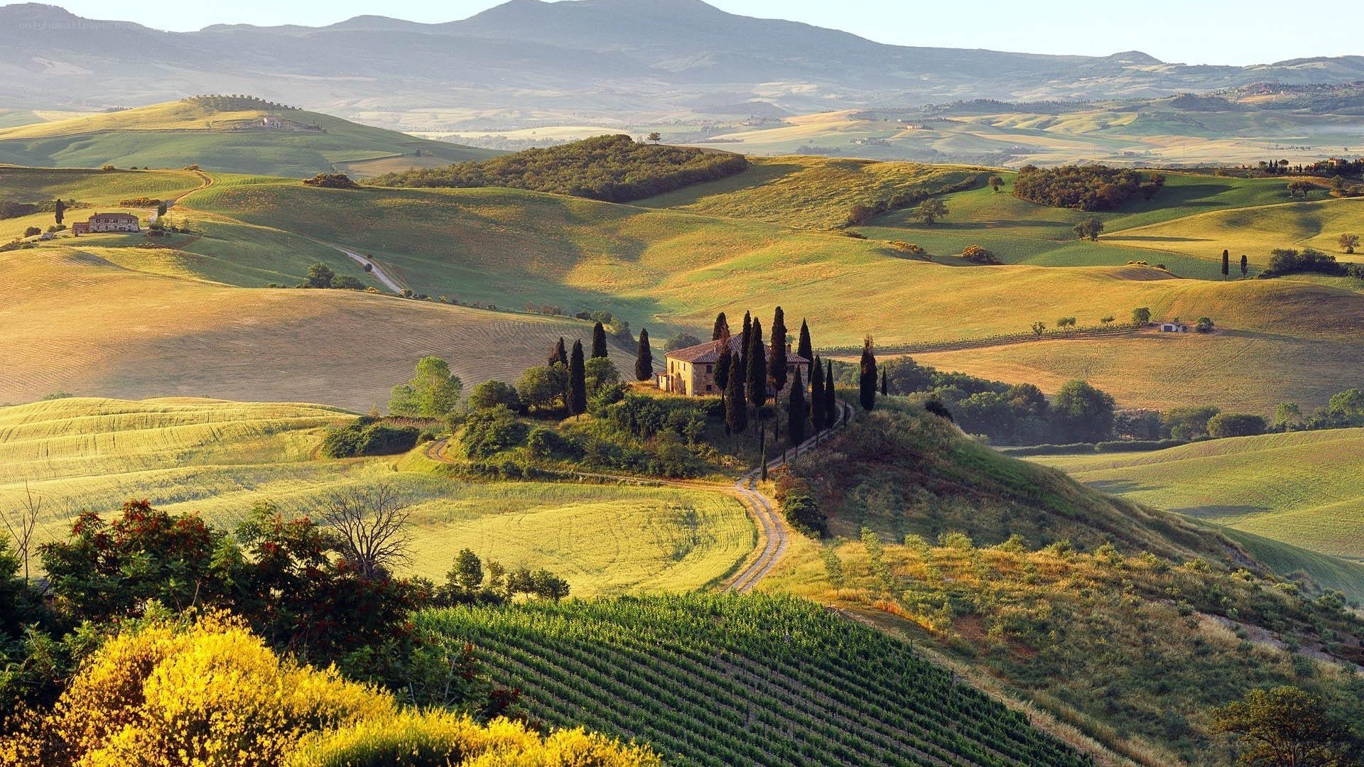 Tuscan hills at sunset