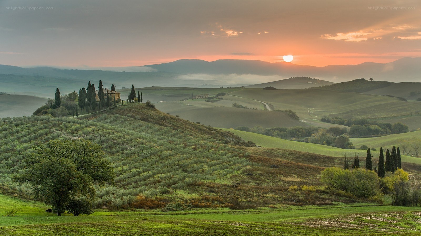 Tuscan hills at sunset